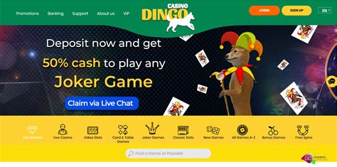 casino dingo|casino dingo review.